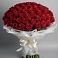 Букет 101 Красная роза Блэк Мэджик в Часцы