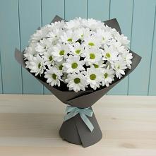 Букет цветов из:  Хризантемы #REPLACE_PRED# Часцы